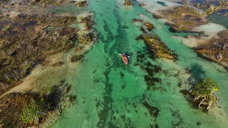 Vista-Aérea-De-Personas-En-Kayak-En-El-Canal-Poco-Profundo-De-Los-Rápidos-De-Bacalar,-En-El-Soleado-México---Reversa,-Disparo-De-Drones