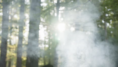 imágenes del humo de la fogata subiendo al aire con el sol de la mañana filtrándose