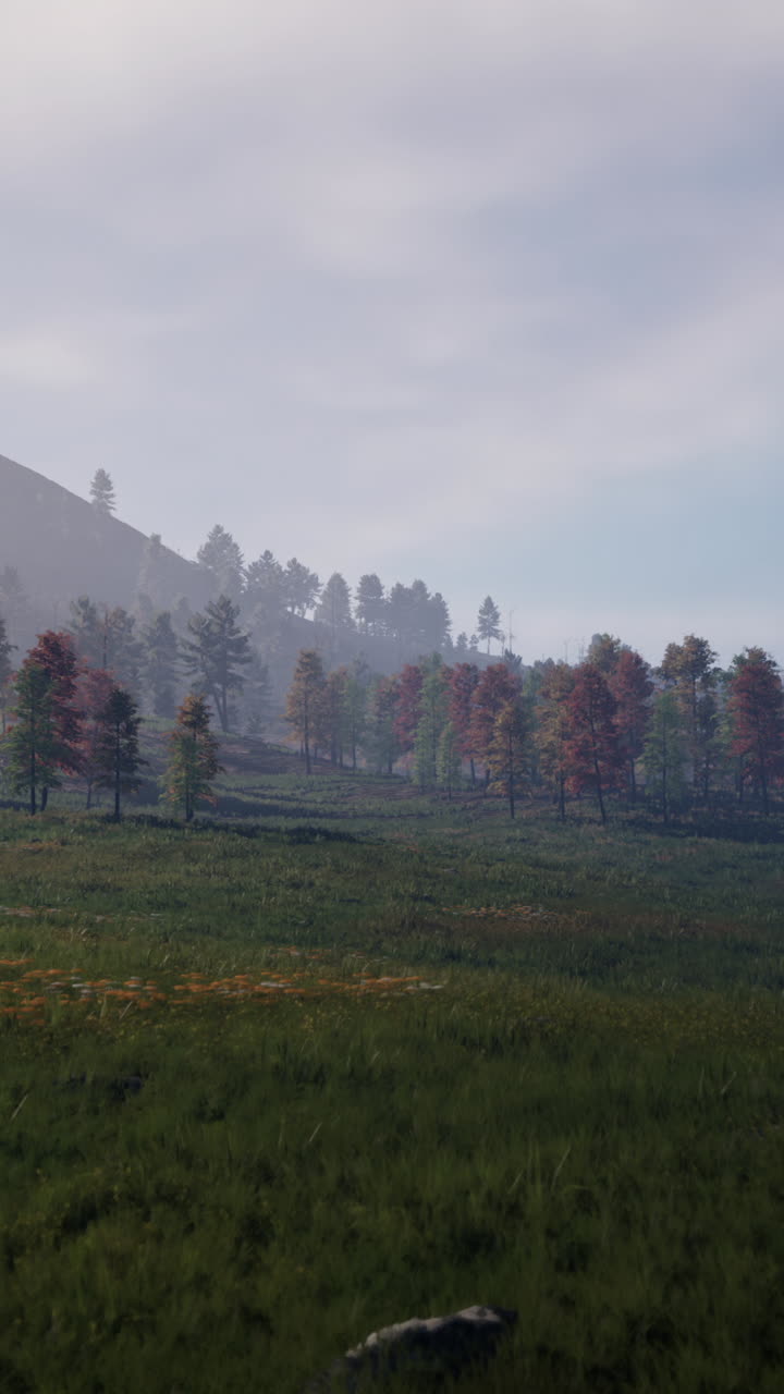 paisaje forestal de otoño con niebla