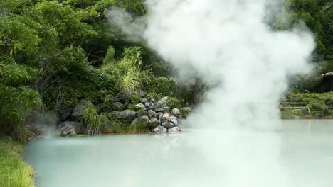 bosque con una piscina natural de aguas termales