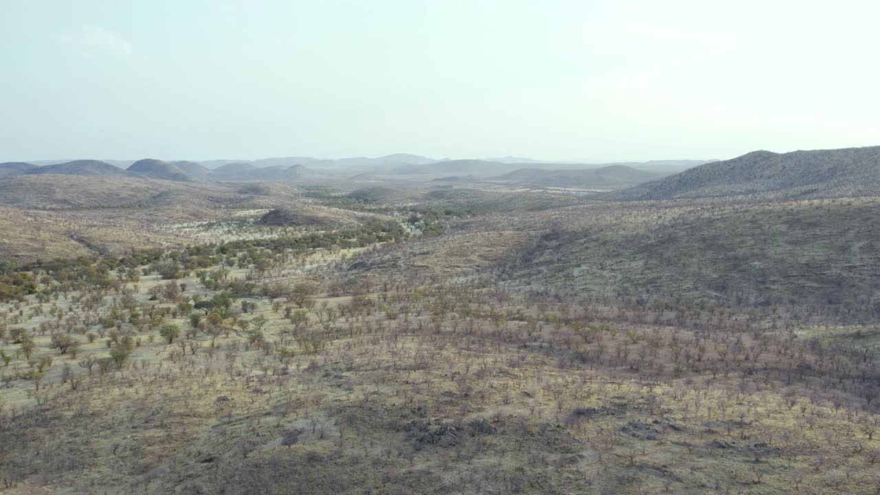antena: kaokoland y el parque nacional de etosha en la sabana de pastizales de namibia