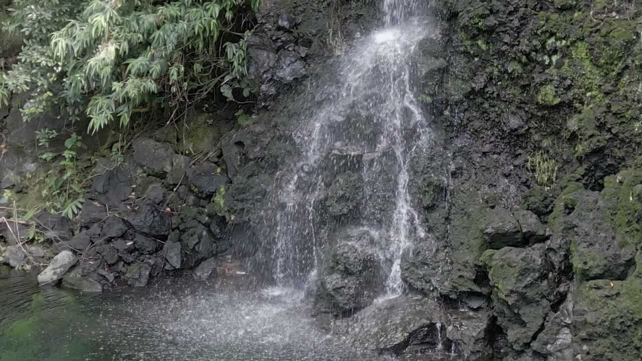 Mauritius - Moka- Cascade Eau Bleu - bottom of the waterfall