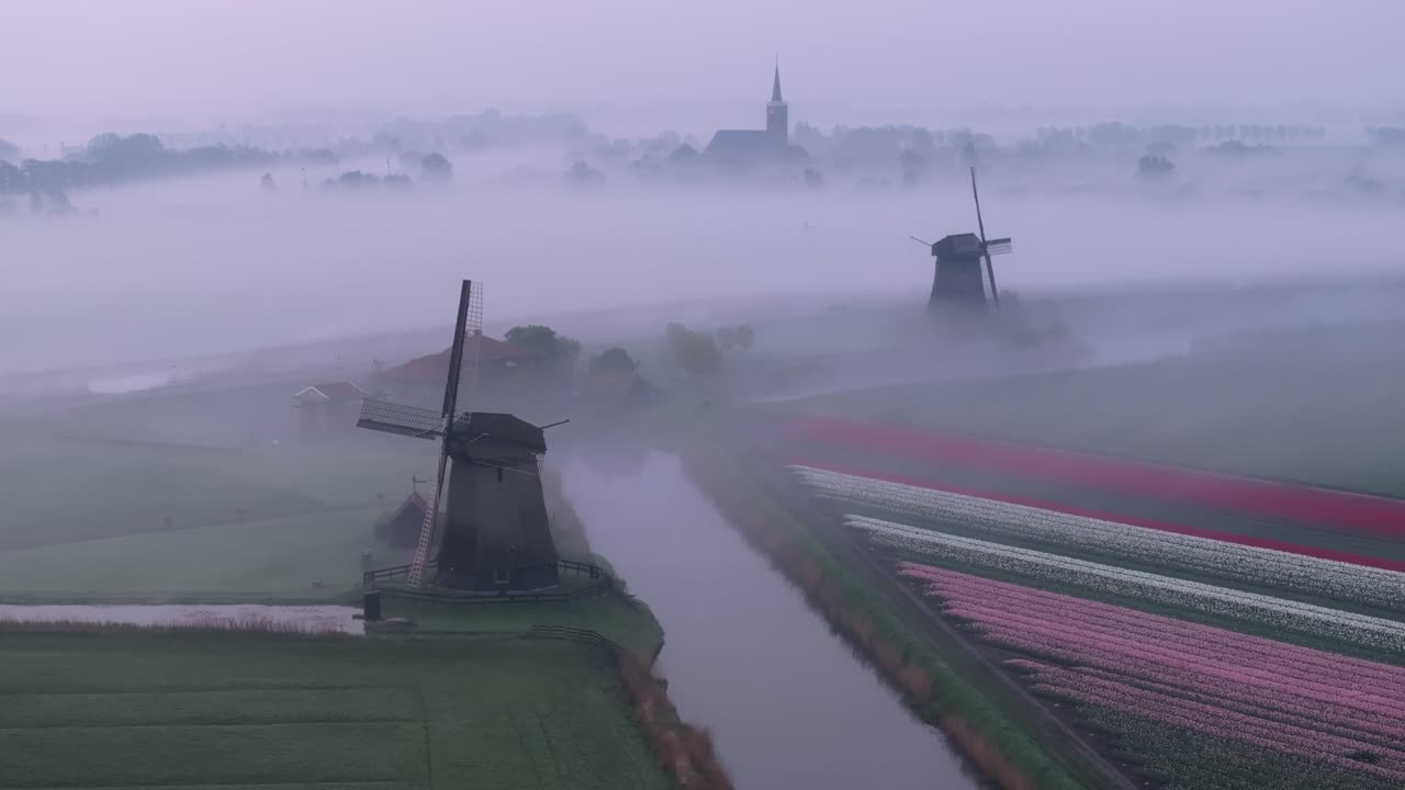 Vista aerea di mulini a vento nella nebbia, tulipani e chiesa all'alba, Paesi Bassi