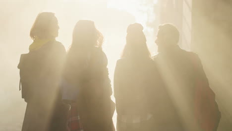 rear view of group of friends walking and talking at sunshine in the park in autumn