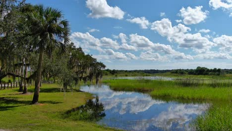 soaring over a tropical park in central florida with a beautiful blue sky wuth billowing clouds