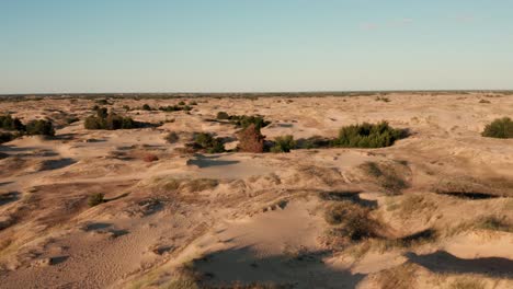 aerial view of a desert, sand dunes. texture of the surface of desert nature