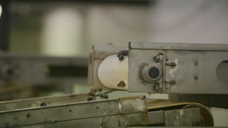 mussels being transported on a white conveyor belt inside a fish factory in slowmotion