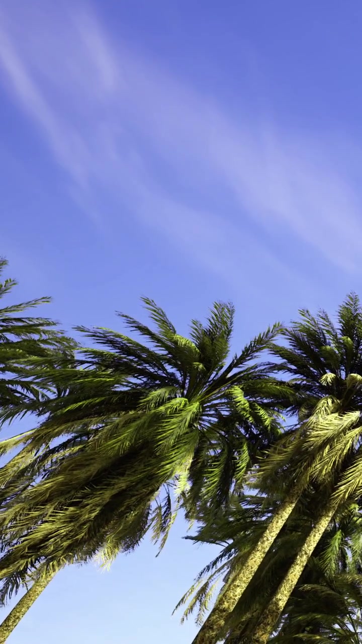 Palme ondeggiano sotto un cielo blu con tempo soleggiato in una località balneare