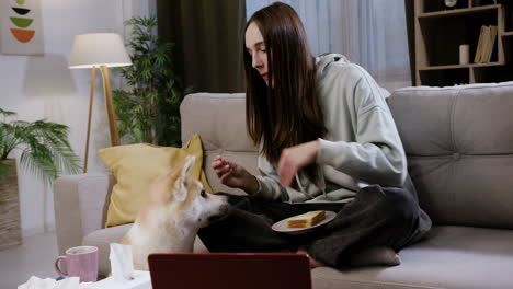 mujer dando comida al perro