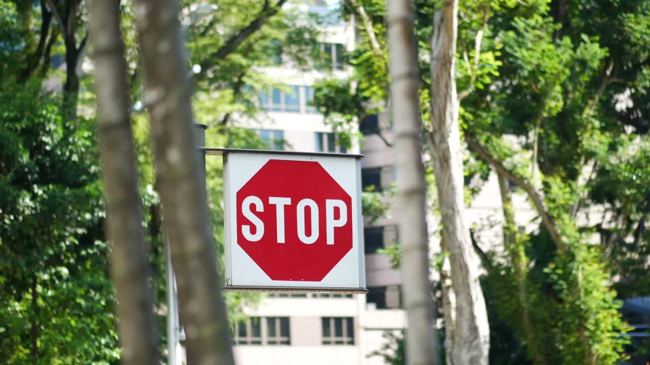 비어있는 도로에서 멈추는 표지판,