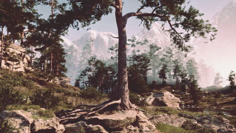 Magische-Berge-Sommer-Felsige-Landschaft