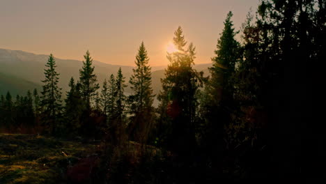 Drone-shot-with-the-rays-of-the-sun-appearing-from-behind-the-tree-and-uncovering-the-mountain-range