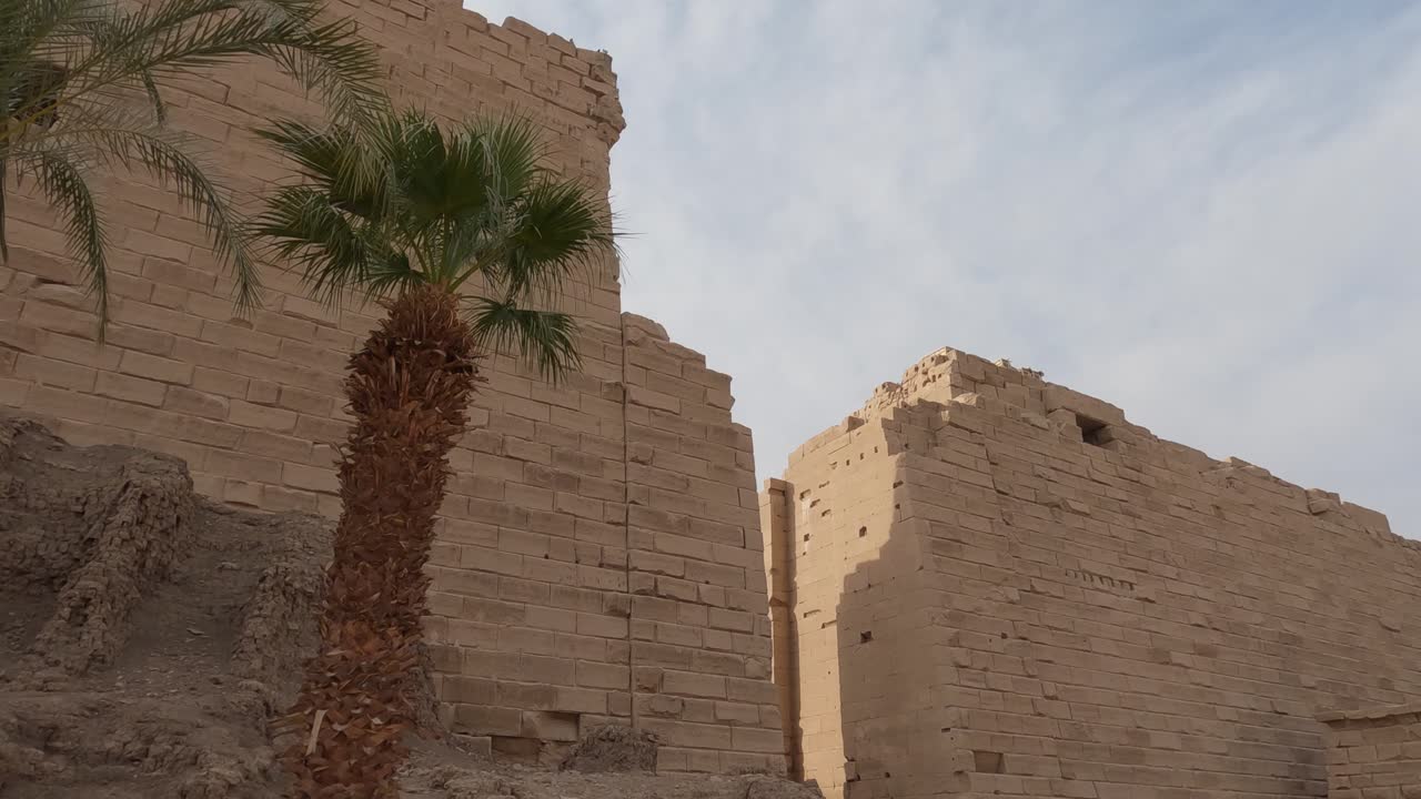 Hand-held shot of the Karnak Temple walls and palm trees blowing in the wind