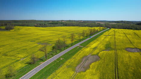 Lange-Autofahrt-Auf-Atemberaubenden-Polnischen-Straßen,-Umgeben-Von-Lebendiger-Natur