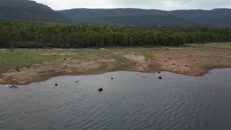 Orilla-Del-Lago-Huntsman-En-Tasmania-Con-Cordillera-En-Segundo-Plano.