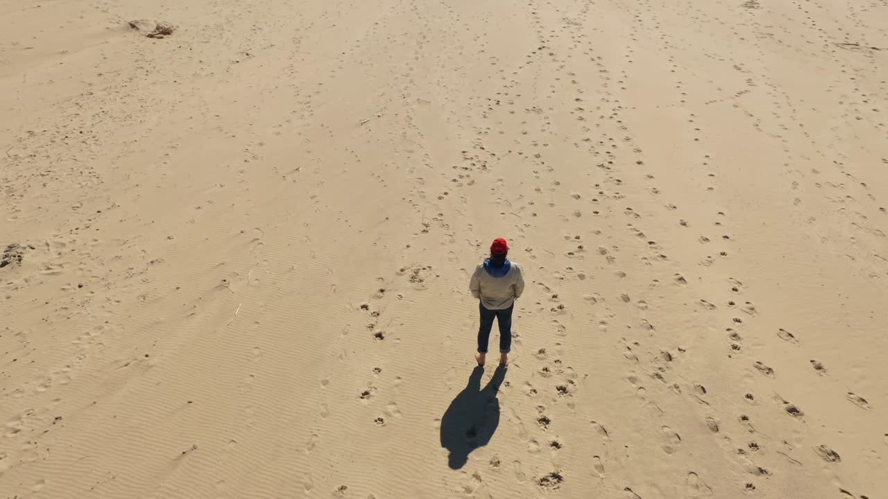 남자가 해변에서 개를 지켜보고 있다