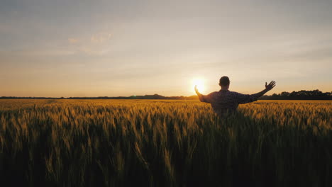 Un-Hombre-Agricultor-Levanta-Las-Manos-Al-Sol-Naciente-Sobre-Un-Campo-De-Trigo