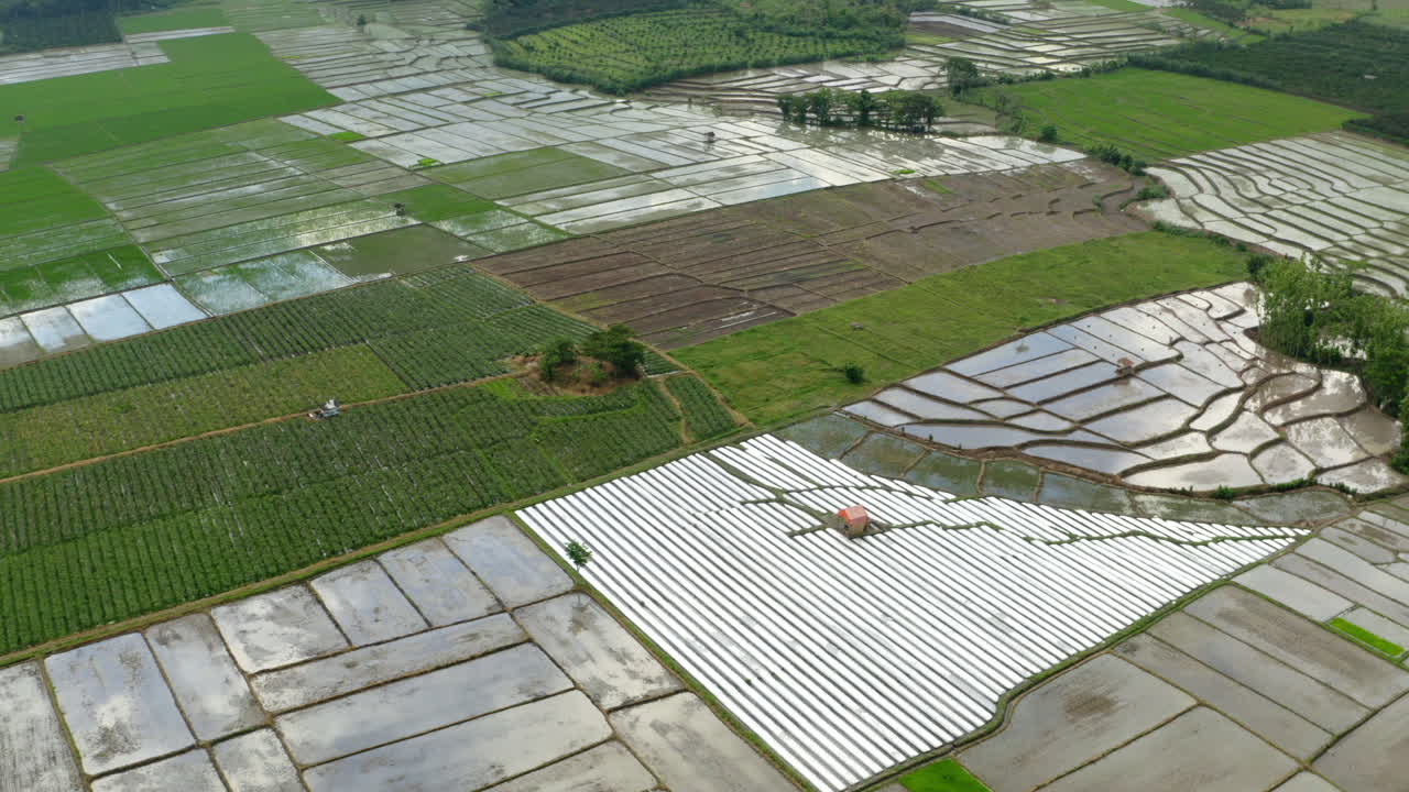 Jawa Timur Indonesia, pemandangan udara sawah yang luas.