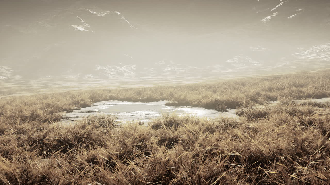 네팔의 밝은 하늘 아래 풀과 모스로  ⁇ 인 돌