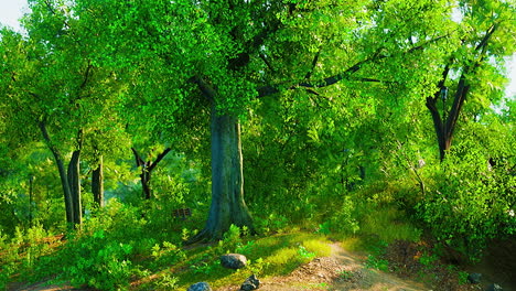 paisaje de estanque de bosque verde de verano