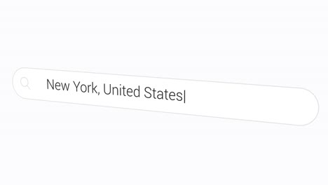 typing new york, united states on search box - nyc, new york city the big apple