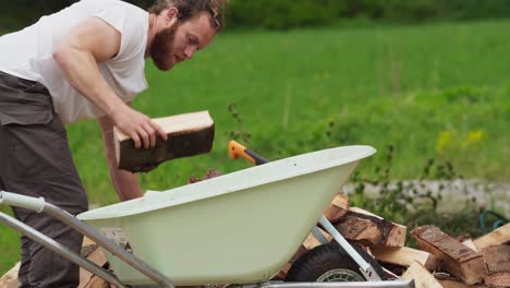 man putting chopped woods on the wheelbarrow