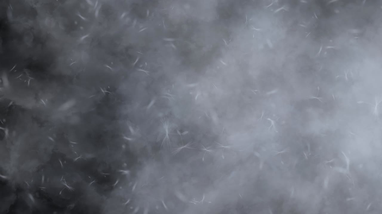 las semillas en bucle.