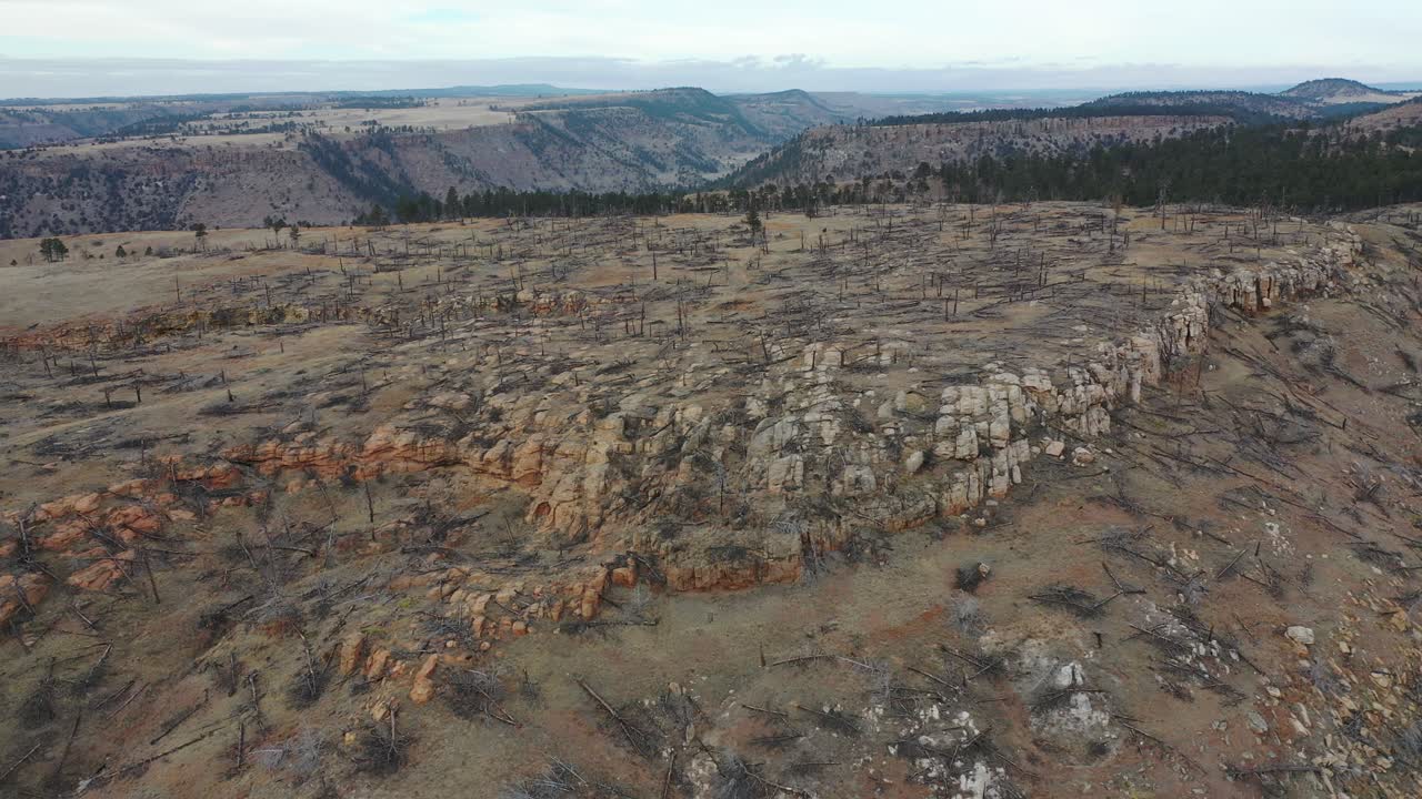 ущерб от лесных пожаров в горной местности