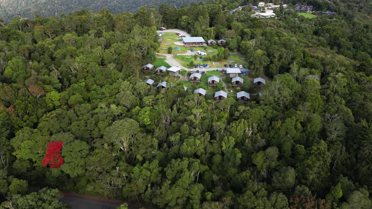O&rsquo;Reilly&rsquo;s campground set out amongst the pristine rainforest of UNESCO World Heritage Lamington National Park