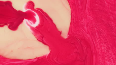 la mezcla de rojo y blanco forma una hermosa dimensión de color rosa