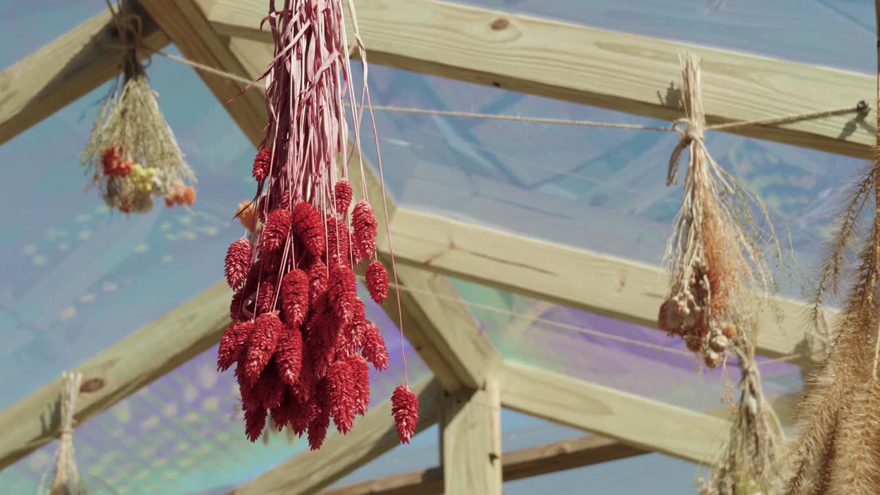 Dried Red Flowers Hanging in Greenhouse, Natural Rustic Home Decor