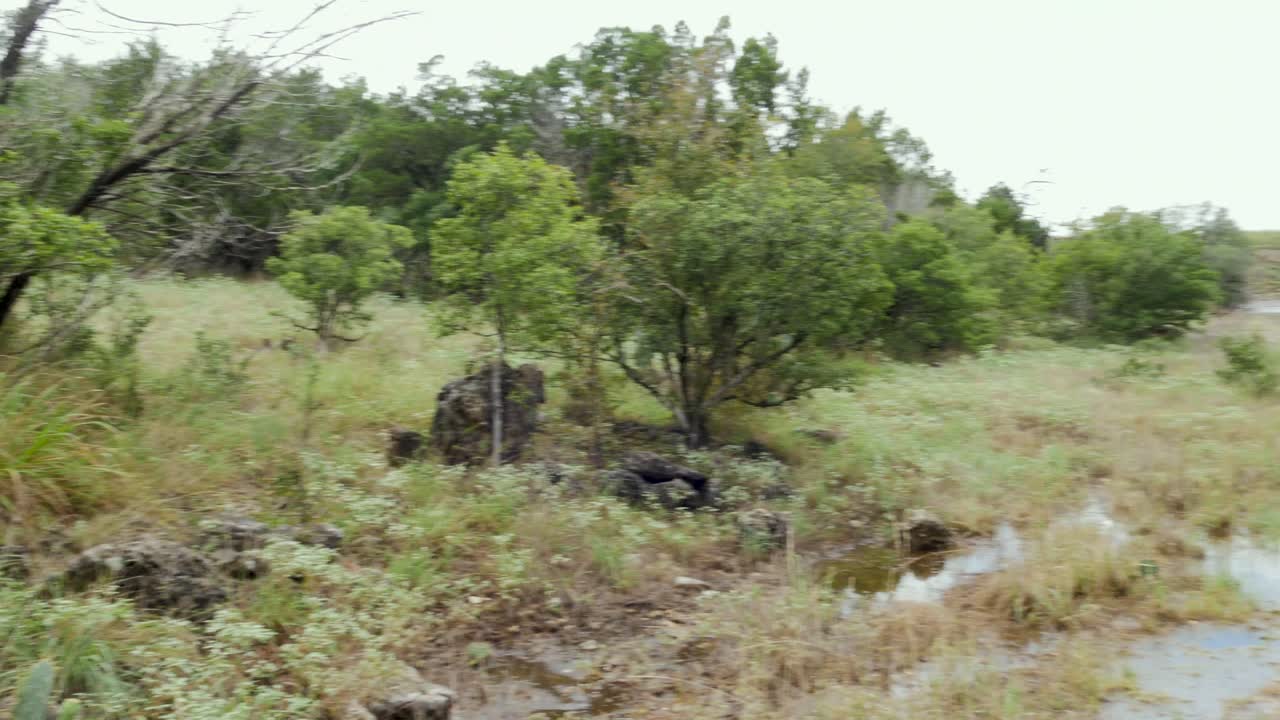 parque inundado después de fuertes lluvias