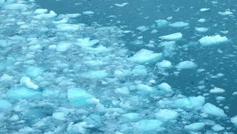 many small bits of ice in turquoise water