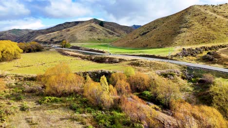 drone camera glides over a rural landscape with grazing sheep, golden autumn trees, a winding road, and a glacial stream under bright daylight