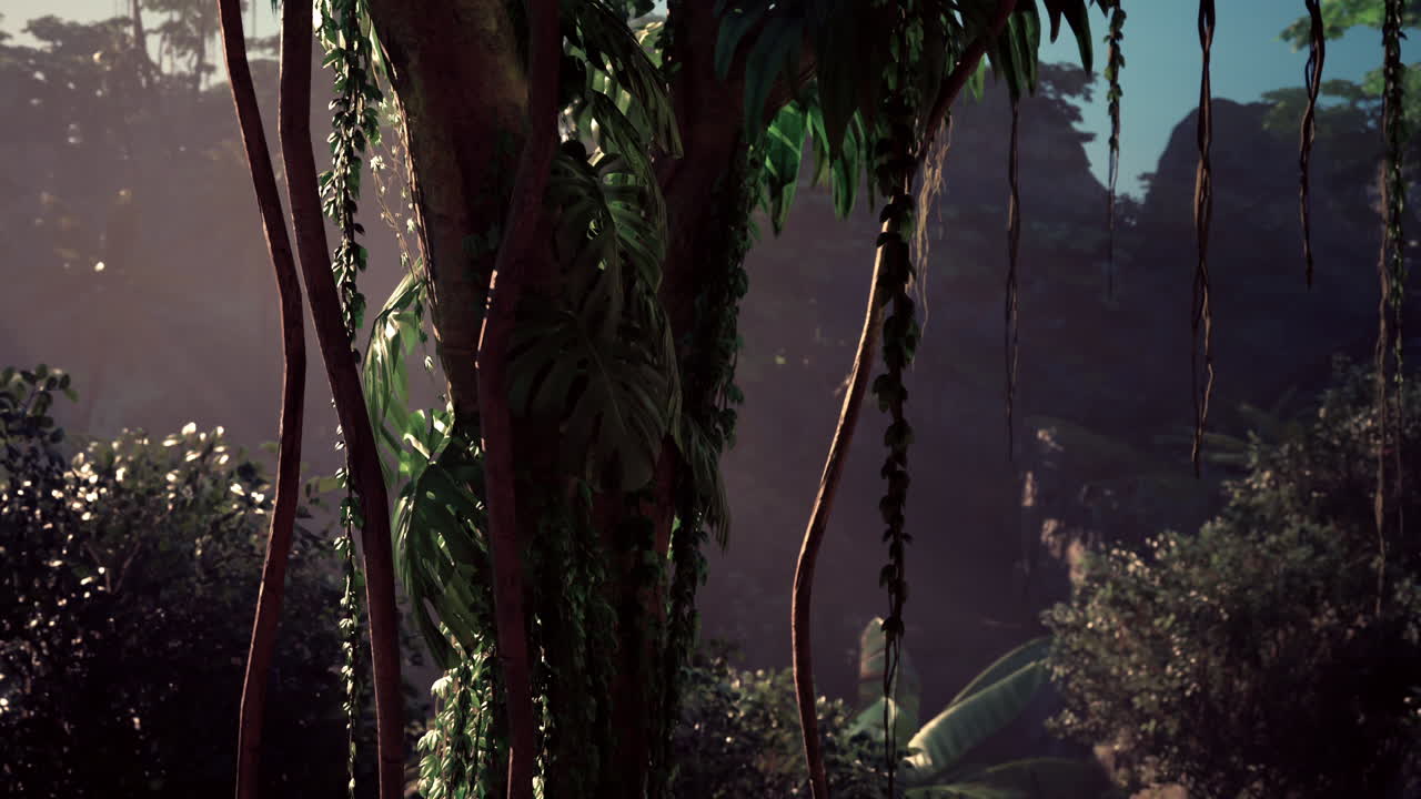 солнечный свет проходит через густые джунгли