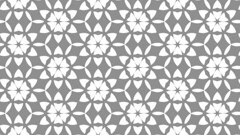 graphic pattern in black and white with stroboscopic and hypnotic effect, while increasing in size and then reducing it.