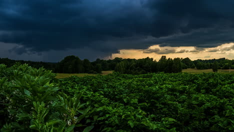 Time-lapse-shot-of-stormy-dark-clouds-flying-over-growing-potato-field-in-the-evening---Swirl-clouds-in-darkness