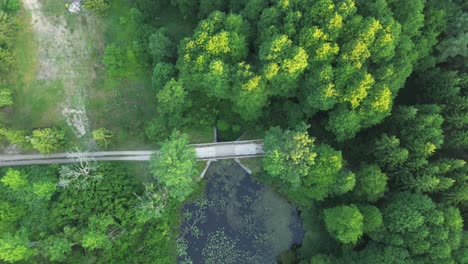 Soar-above-Europe's-scenic-wonders—drone-gracefully-navigates-dawn-lit-lake,-lush-forest,-and-an-impressive-water-dam,-providing-a-top-view-spectacle-of-nature