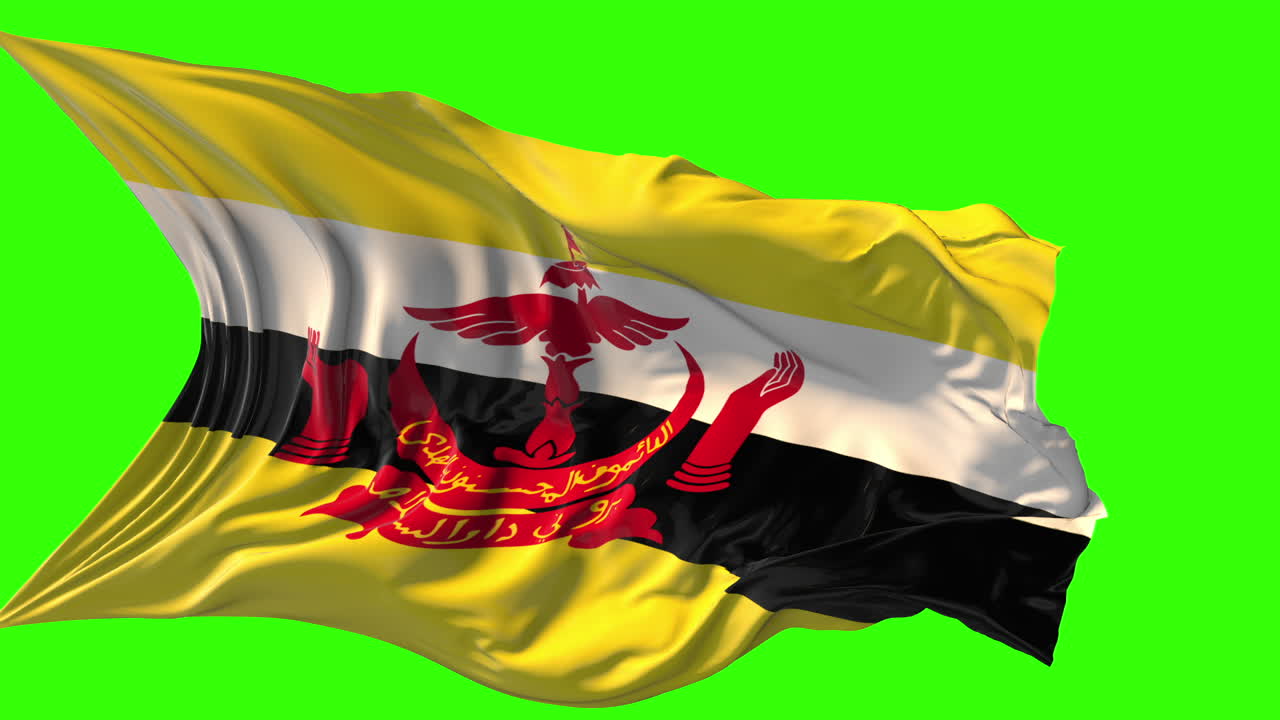 Waving Flag of Brunei on Green Screen