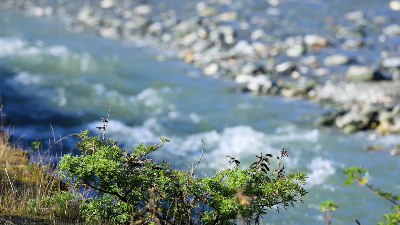 A tranquil river flows amidst vibrant greenery and rocky banks, captured in bright daylight with a steady camera