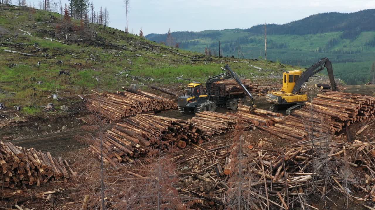 un transportista de madera en acción en un camino forestal en bc, canadá