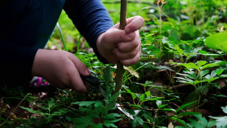 hands of a little girl or boy using a swiss knife, sawing a piece of wood in the forest, nobody-5