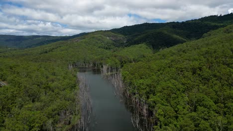 vista aérea de izquierda a derecha sobre el río nerang, parque nacional springbrook en el interior de la costa de oro, queensland, australia