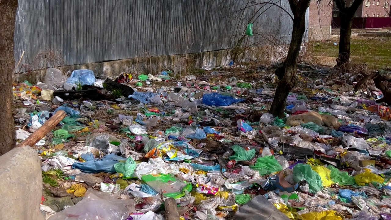 Trash pollution crisis harming earth through water pollution air pollution plastic polythene diapers waste destroying environment threatening health ecosystems future generations worldwide
