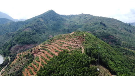 aerial, hill slope deforestation for agriculture farm field in southeast asia