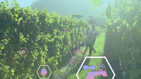Animation of network of eco icons over caucasian couple in vineyard
