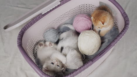 several small kittens in a basket next to balls of thread