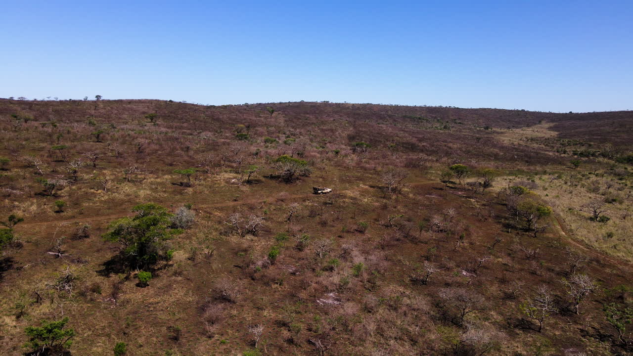 un avión no tripulado ariel disparó con vistas a un vehículo de safari que conducía a través de la selva africana seca que llevaba a los viajeros a un juego en un parque de safari