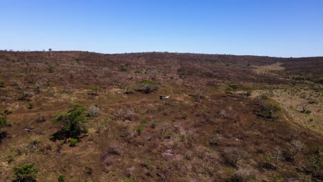 Eine-Ariel-Drohnenaufnahme-Mit-Blick-Auf-Ein-Safarifahrzeug,-Das-Durch-Den-Trockenen-Afrikanischen-Busch-Fährt-Und-Reisende-Auf-Eine-Pirschfahrt-In-Einem-Safaripark-Mitnimmt