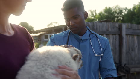 farmer holding big sheep